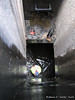 August 2009 - MISC - Dog Rescue from Storm Drain : Somehow a dog found its way into a storm drain and somehow road construction workers found it. Truck 8 responded, lowered a ladder to a worker already in the drain and that worker used the ladder to grab the dog and bring it to safety.